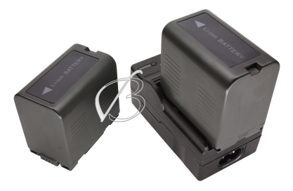 Зарядное устройство для Panasonic (CGR-D08, D16, D53, D54, D120, D220), от сети, oem