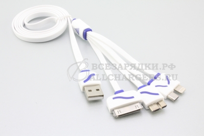 Универсальный зарядный USB кабель для телефонов, планшетов и др, 4in1, прямой, oem